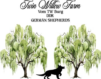Twin Willows DDR German Shepherds 